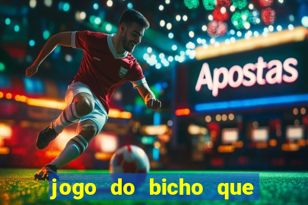 jogo do bicho que paga no pix